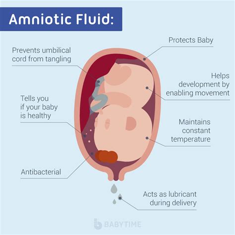 how do you know your leaking amniotic fluid|Leaking Amniotic Fluid: How to Tell